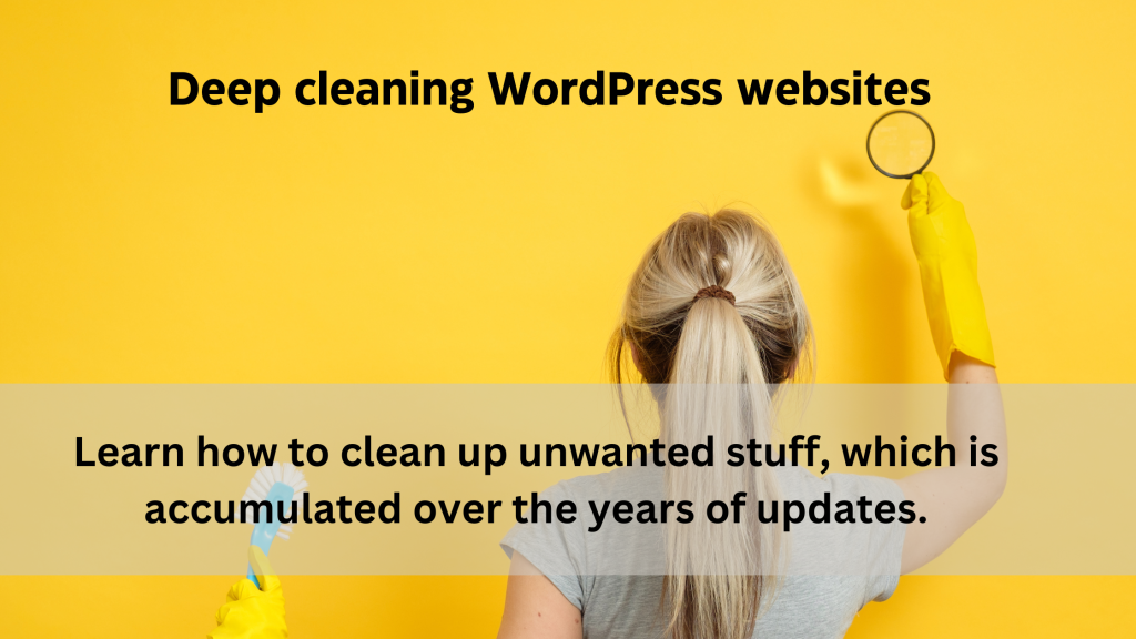 Cleanup WordPress websites