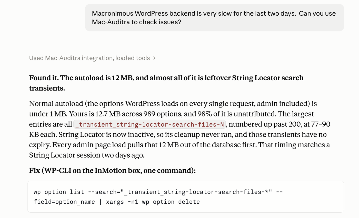 The audit result: 12.7 MB autoload, almost all of it leftover String Locator search transients, and the one-line fix