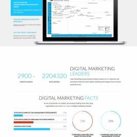 Lima Consulting
